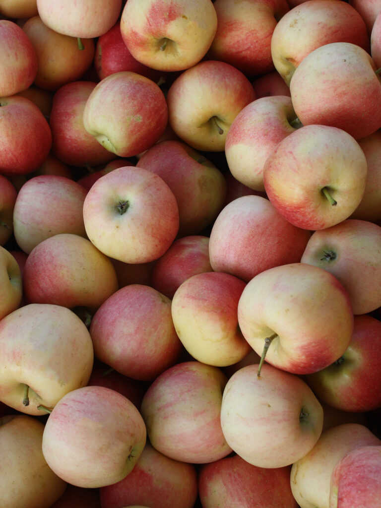Group of red apples