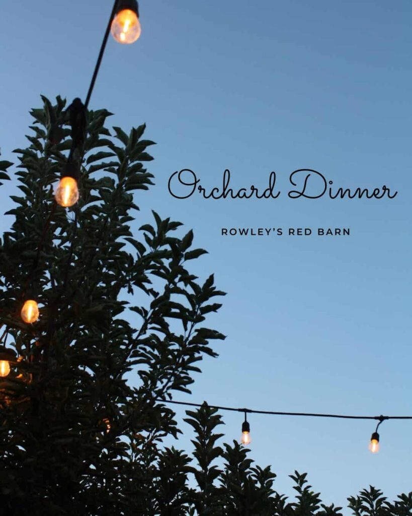Lights hanging in trees with the text saying "Orchard Dinner"