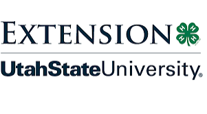 4H Extension Logo