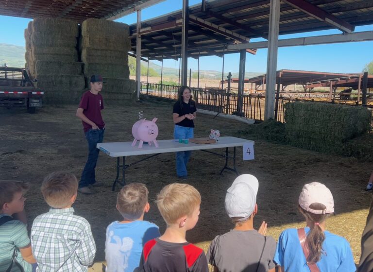 Group of elementary students learning about agriculture.